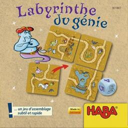 Labyrinthe du Génie Cover
