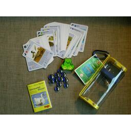 Naturquartett Wasser Eclate