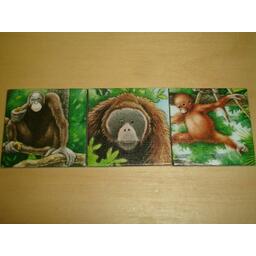 Charly im Zoo Tuiles