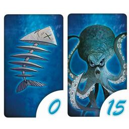 Nautilus Cartes