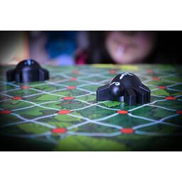 Gare à la Toile Zoom