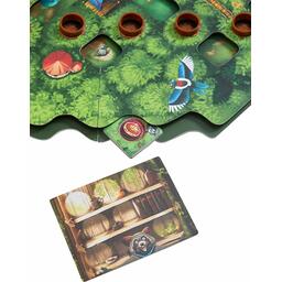 A l'Abri des Arbres Eclate