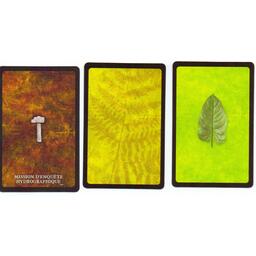 Robinson Crusoé: Aventures sur l'Île Maudite - Le Voyage du Beagle Cartes