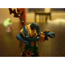 Chaos dans le Vieux Monde Figurines