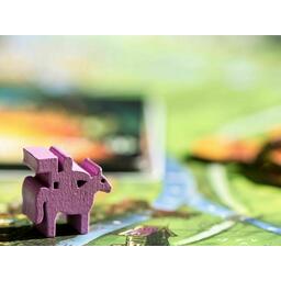 Margraves de Valeria Zoom