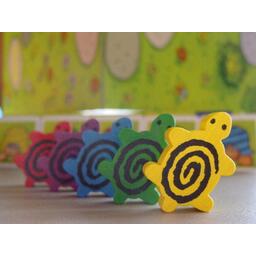 La Course des Tortues Zoom