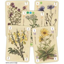 Officinalis Cartes