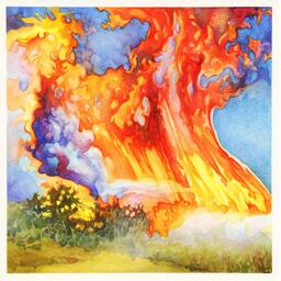 Evolution Climat Artwork