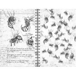 EXIT: Le Livre - Journal de Bord 1907 Page