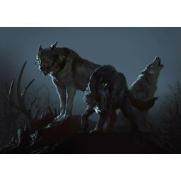 Time of Legends: Joan of Arc Artwork