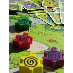 La Course des Tortues Zoom