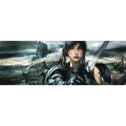 Anima: Beyond Fantasy Top