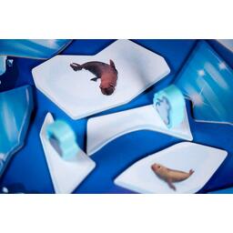 Glisse Banquise Zoom