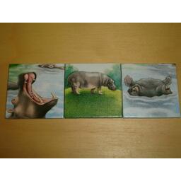 Charly im Zoo Tuiles