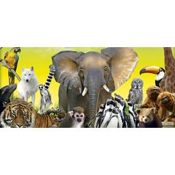 Une Saison au Zoo: Le Jeu du Soigneur Top