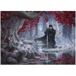 Le Trône de Fer: Le Jeu de Cartes - La Marche sur Winterfell Artwork