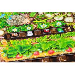 Le Rallye des Vers de Terre Zoom