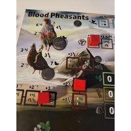 Clash of Galliformes Zoom