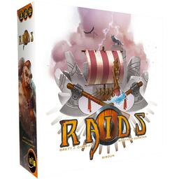 Raids Cover 3d