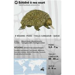 Fauna 2022 Carte