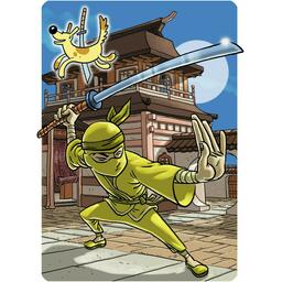 Shinobi Carte