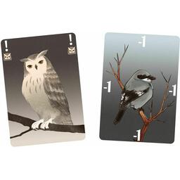 Songbirds Cartes