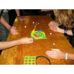 Chien de Berger Partie