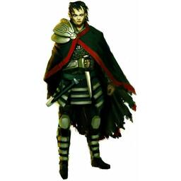 Summoner Wars: Le Royaume Déchu Artwork