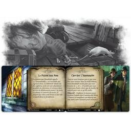Horreur à Arkham: Le Jeu de Cartes - Mille Nuances d’Horreur Artwork