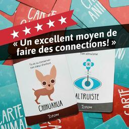 Totem: Le Jeu qui Fait du Bien Exemple