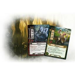 Le Seigneur des Anneaux: Le Jeu de Cartes - Une Ombre à l'Est Cartes