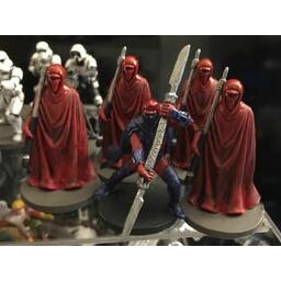 Star Wars: Assaut sur l'Empire - Champion de la Garde Royale Figurines