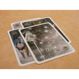 More Bloody Nights Cartes