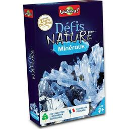 Défis Nature: Minéraux Cover 3d