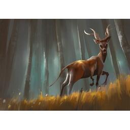 Outlive Artwork Animaux