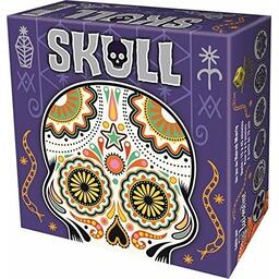 Skull Cover 3d