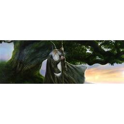 Le Seigneur des Anneaux Top