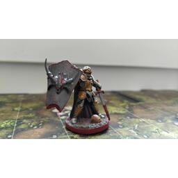 Descent: Voyages Dans les Ténèbres (Seconde Édition) - Alric Farrow Figurine