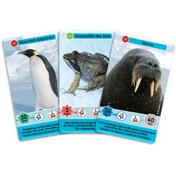 Défis Nature: Junior - Royaumes du Froid Cartes