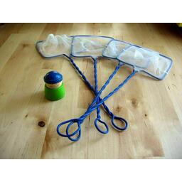 Flotte Flosse Eclate