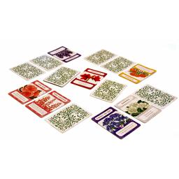 Tussie Mussie Eclate