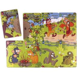 Misti'zzle: Des Fables de la Fontaine (Braille) Cartes