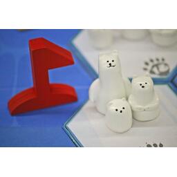 Rescue Polar Bears: Data & Temperature Zoom