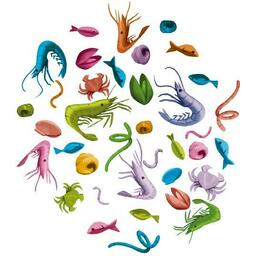 Little Big Fish Eclate