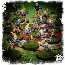 Blood Bowl: The Game of Fantasy Football - The Elfheim Eagles Eclate