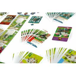 Imperial Settlers: Aztecs Zoom