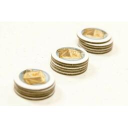 Ladies & Gentlemen Zoom