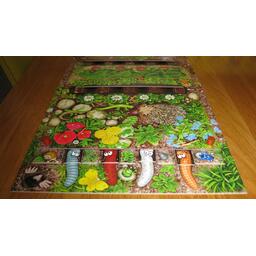 Le Rallye des Vers de Terre Eclate