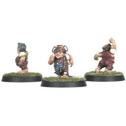 Blood Bowl: The Game of Fantasy Football - Middenheim Maulers Figurines