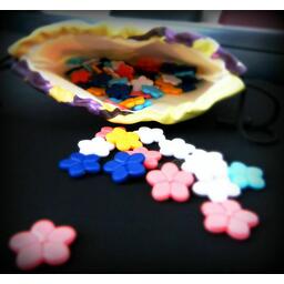 La Légende du Cerisier qui Fleurit Tous les 10 Ans Zoom